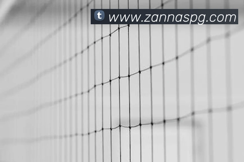 pg电子服务体系